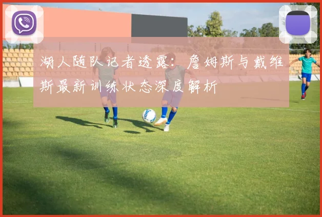 湖人随队记者透露:詹姆斯与戴维斯最新训练状态深度解析
