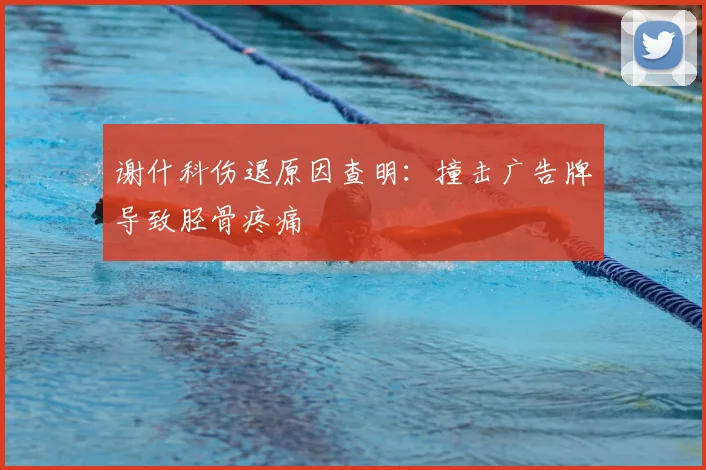 谢什科伤退原因查明:撞击广告牌导致胫骨疼痛